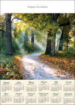Kalendarz planszowy - A31 Poranek w lesie