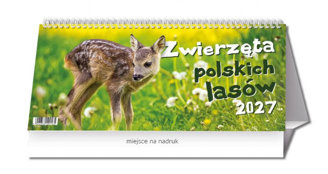 Kalendarz biurkowy - TBD216 Terminarz biurkowy dwutygodniowy