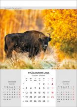 Kalendarz wieloplanszowy - WP116 Niesamowita Polska