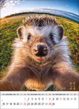 Kalendarz wieloplanszowy - WP135 Selfie