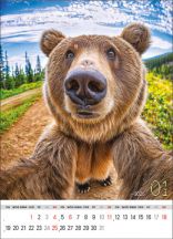 Kalendarz wieloplanszowy - WP135 Selfie