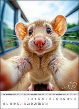 Kalendarz wieloplanszowy - WP135 Selfie