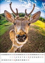 Kalendarz wieloplanszowy - WP135 Selfie