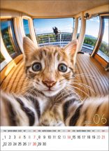 Kalendarz wieloplanszowy - WP135 Selfie