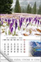 Kalendarz wieloplanszowy - WPN121 Tatry