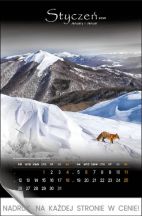 Kalendarz wieloplanszowy - WPN127 Tajemnicze Bieszczady