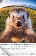 Kalendarz wieloplanszowy - WPN135 Selfie