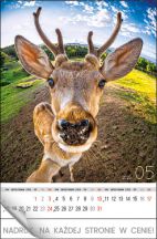 Kalendarz wieloplanszowy - WPN135 Selfie