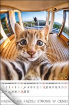 Kalendarz wieloplanszowy - WPN135 Selfie